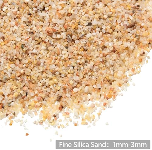 Boniosz clean fine grain silica sand applied as a decorative top dressing in a terrarium
