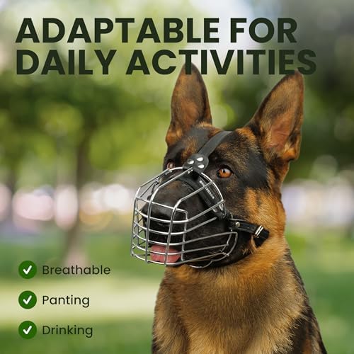 Premium leather buckles and soft padding details on imported dog muzzle