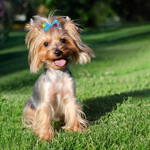 Puppy topknot hair bows for pet grooming styling