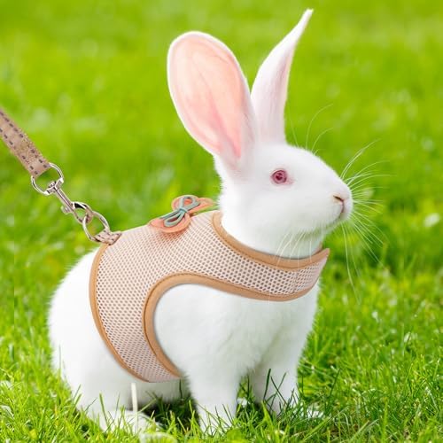 No choke mesh harness for kittens and guinea pigs