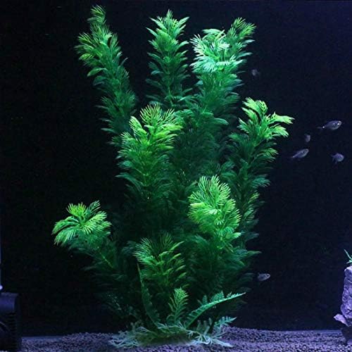 Safe non toxic faux greenery by Hamiledyi for fresh water environments.