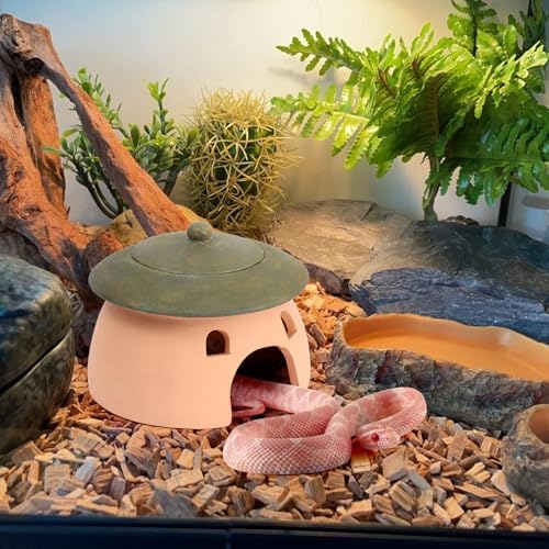 Frog and Toad House 8 x 6Inch Toad House for Outside Garden Reptile Cave Red Pottery Ceramics Small Reptile Cave Hide Reptile Hides and Caves Snake Toad Frog Turtle House Green with Lid - Image 7