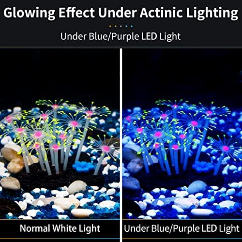 Uniclife artificial coral plant weighted base detail