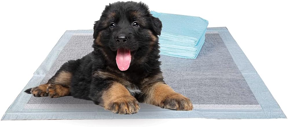 BV Puppy Pads XL 40 Count 34"x28" - Leak-Proof Pee Pads for Dogs with 6-Layer Design, Rapid Dry Sheet & Attractant - Dog Pad Extra Large with Odor Control - Perfect for Big Dogs & Indoor Use - Image 11