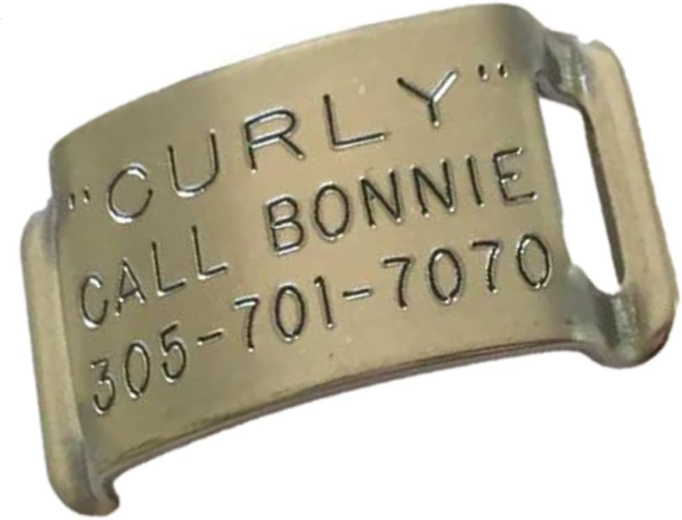 Boomerang Tags Dog Tags Engraved for Pets - Lasts Your Pets Lifetime - Silent Pet Tag, Dog Name Tag Personalized, Durable Stainless Steel Custom ID (Open End Large for 1 Inch Snap Style Collars) - Image 14