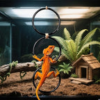 2 Pack Snake Climbing Rings for Ball Python & Corn Snake,Reptile Enrichment Toys for Snake,Ball Python Tank Decor, Reptile Tank Accessories for Bearded Dragon,Chameleon, Iguana, Gecko, Lizard (Black) - Image 7