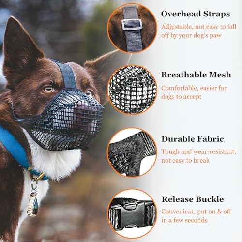 Premium lightweight PVC mesh pet mask designed to prevent scavenging and chewing outdoors