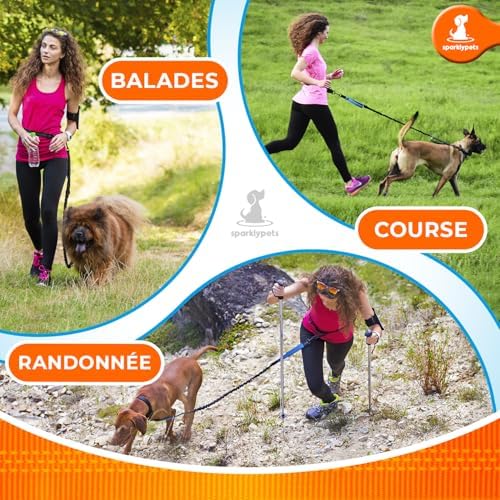 SparklyPets reflective dog leash night visibility feature