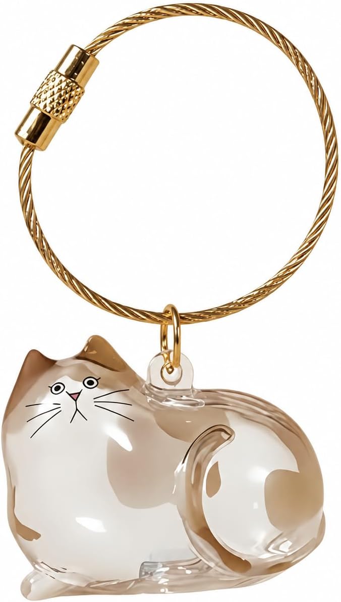 Cat Fur Memorial Keychain Keepsake Capsule Hair Storage Pendant for Pet Remembrance Fillable - Image 10