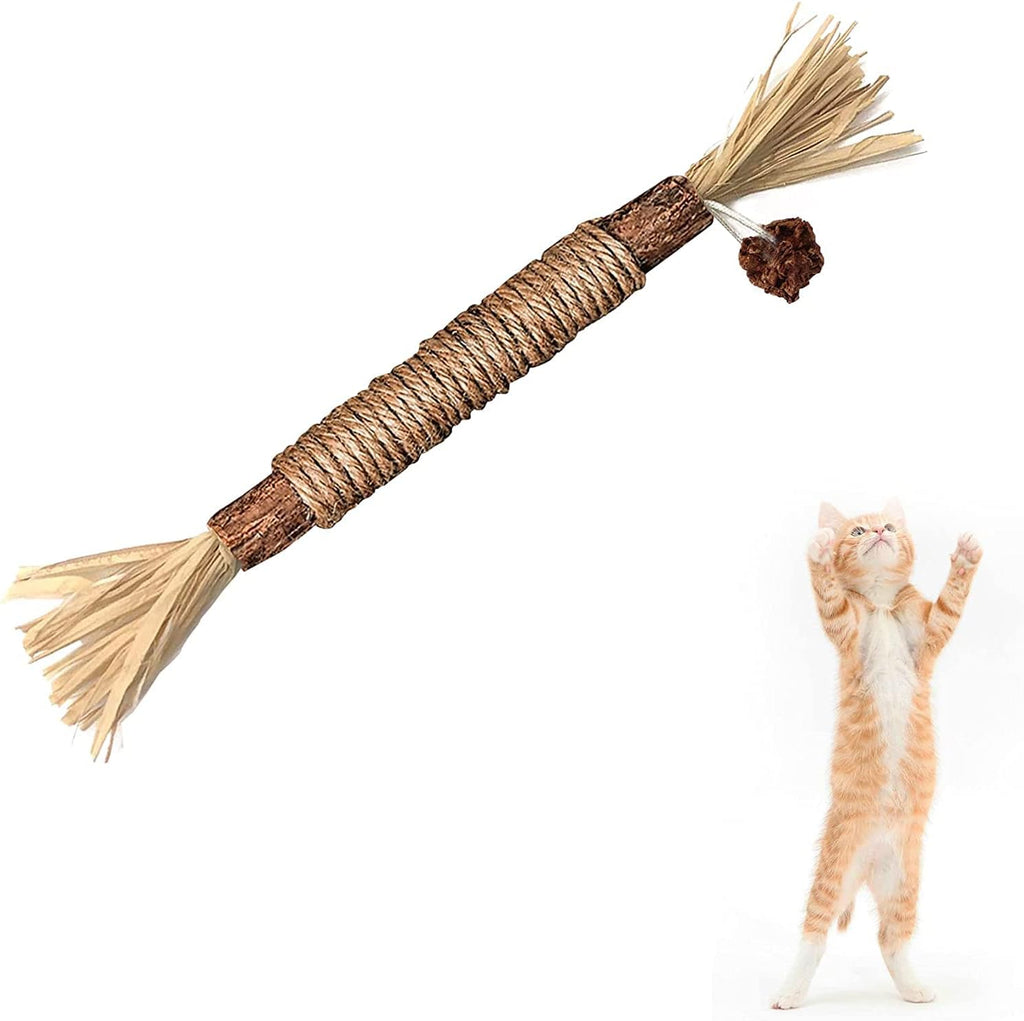 Silvervine Sticks Cat Chew Toys for Indoor Cats Dental Care Teeth Cleaning, Natural Kitten & Cat Teething Toys for Health, Cat Chew Stick Treat Edible Suitable for All Breeds of Aggressive Chewers Cat - Image 9