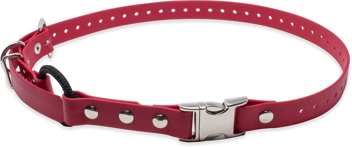 Professional dog training collar strap waterproof material