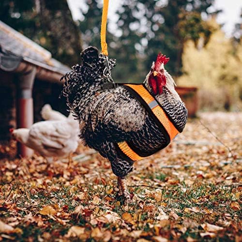 Weewooday duck and hen walking harness with secure buckle closure