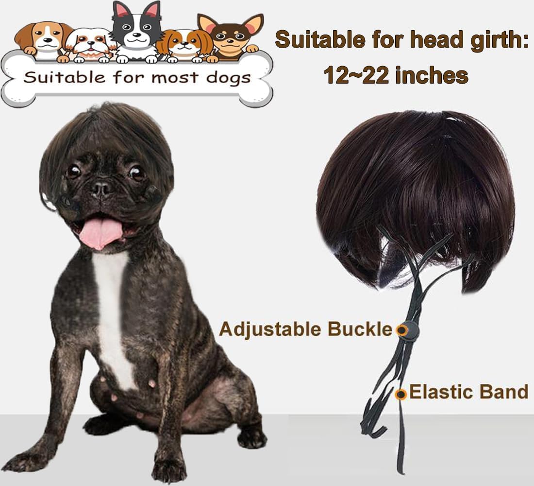 Medium sized dog wearing the trimmable Fishboy cosplay wig at a holiday party
