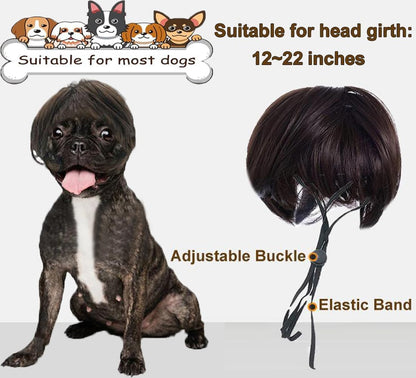 Medium sized dog wearing the trimmable Fishboy cosplay wig at a holiday party