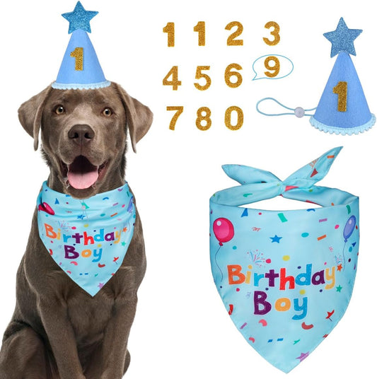 Yicostar dog birthday party supplies set front view featuring blue bandana and number hat