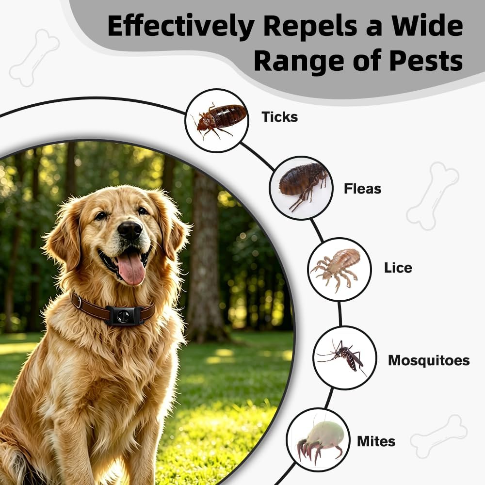 Waterproof flea and tick pendant inside metal storage tin