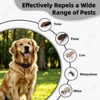 Waterproof flea and tick pendant inside metal storage tin