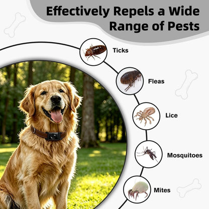 Waterproof flea and tick pendant inside metal storage tin