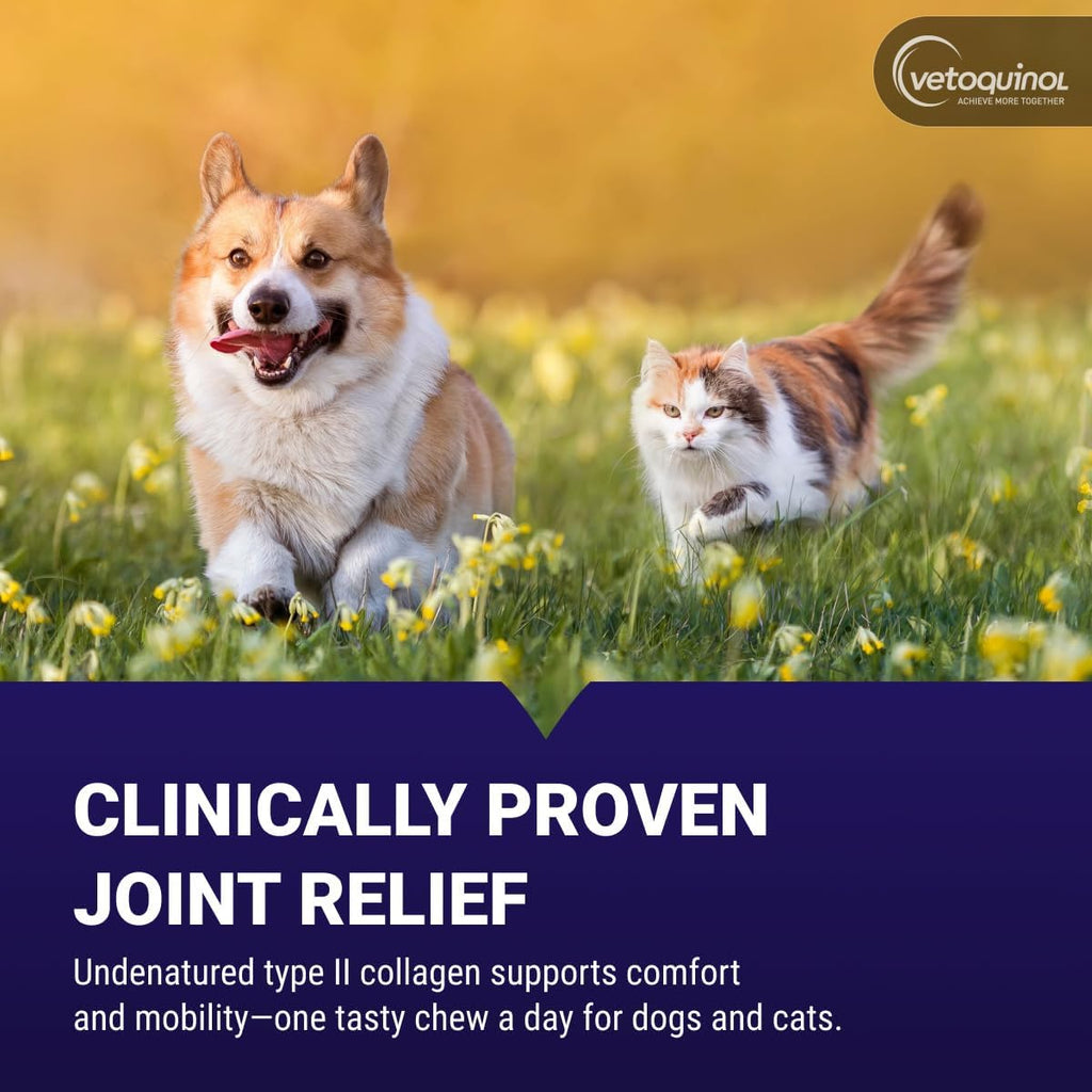 Vetoquinol Flexadin Advanced Hip and Joint Supplement with Undenatured Collagen for Dogs, One Chew a Day Hip and Joint Support Chew for Dogs and Cats, Clinically Proven Vet-Approved Formula, 30 Chews - Image 2