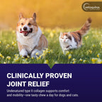 Vetoquinol Flexadin Advanced Hip and Joint Supplement with Undenatured Collagen for Dogs, One Chew a Day Hip and Joint Support Chew for Dogs and Cats, Clinically Proven Vet-Approved Formula, 30 Chews - Image 2