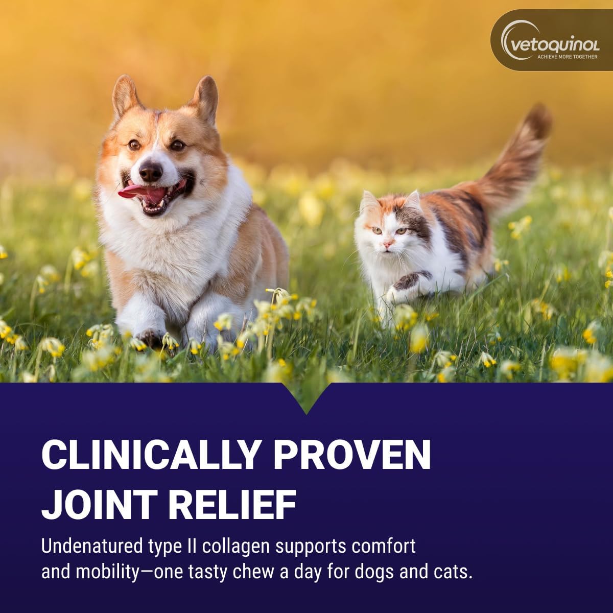 Vetoquinol Flexadin Advanced Hip and Joint Supplement with Undenatured Collagen for Dogs, One Chew a Day Hip and Joint Support Chew for Dogs and Cats, Clinically Proven Vet-Approved Formula, 30 Chews - Image 2