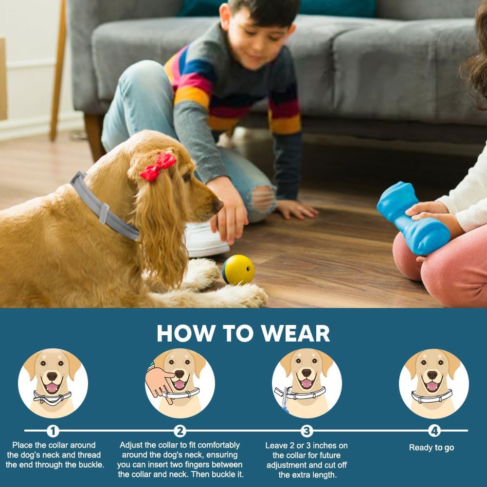 Two pack flea and tick collar for dog parasite prevention