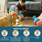Two pack flea and tick collar for dog parasite prevention