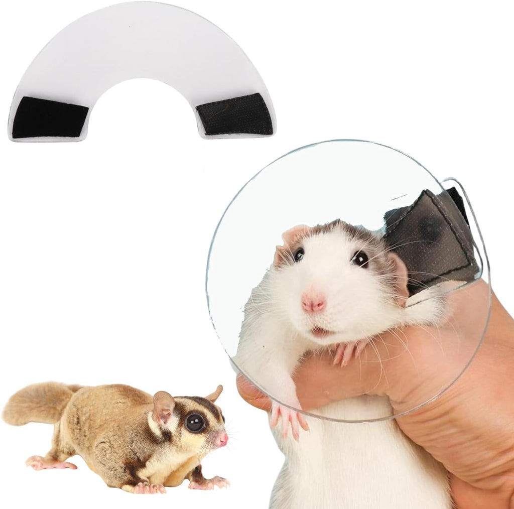 SEZDEKI sugar glider recovery cone front view transparent protective collar