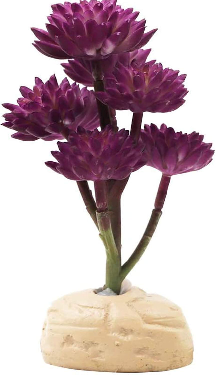 Keruideng decorative terrarium plant showcased on a clean background