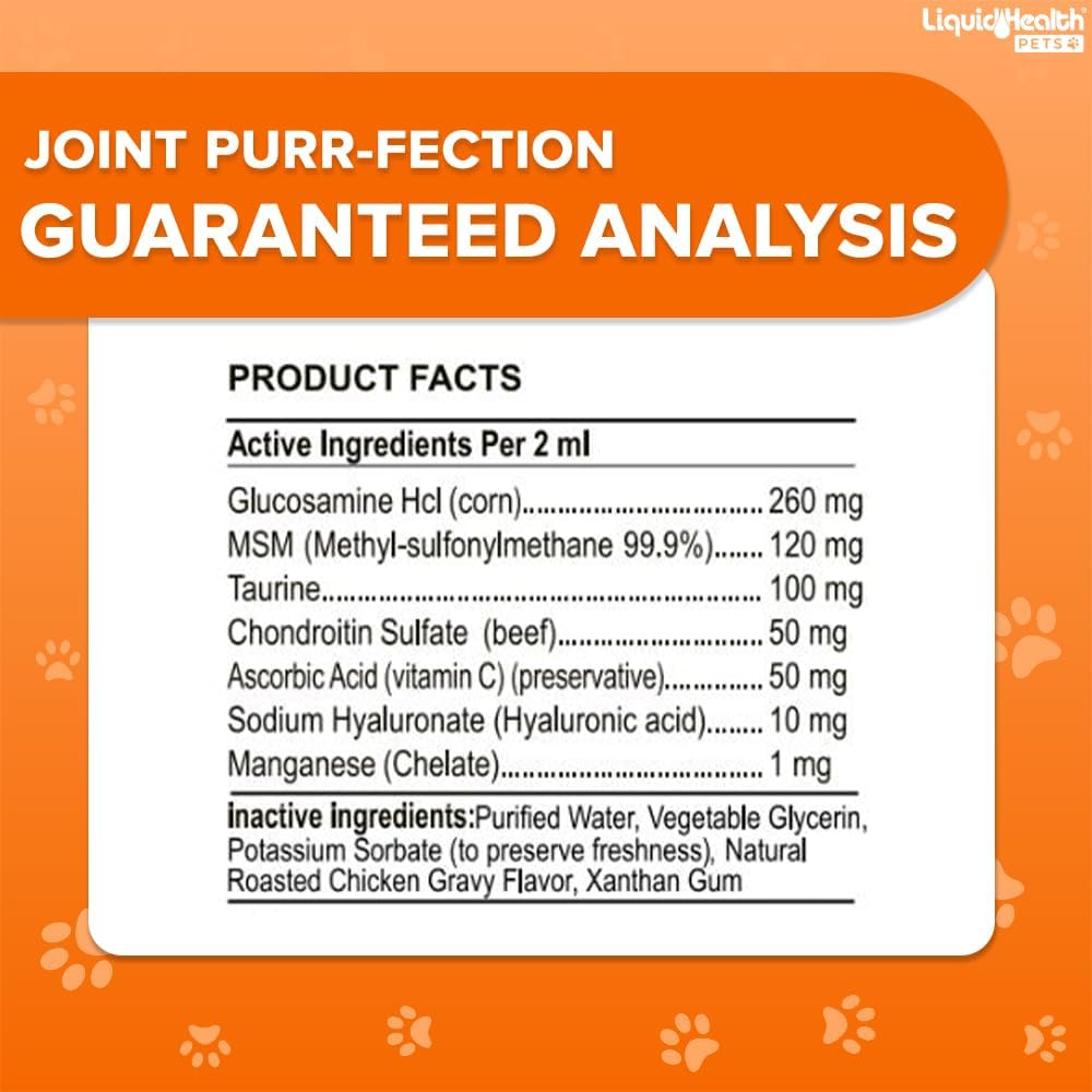 Liquidhealth cat glucosamine supplement bottle in a domestic pet setting