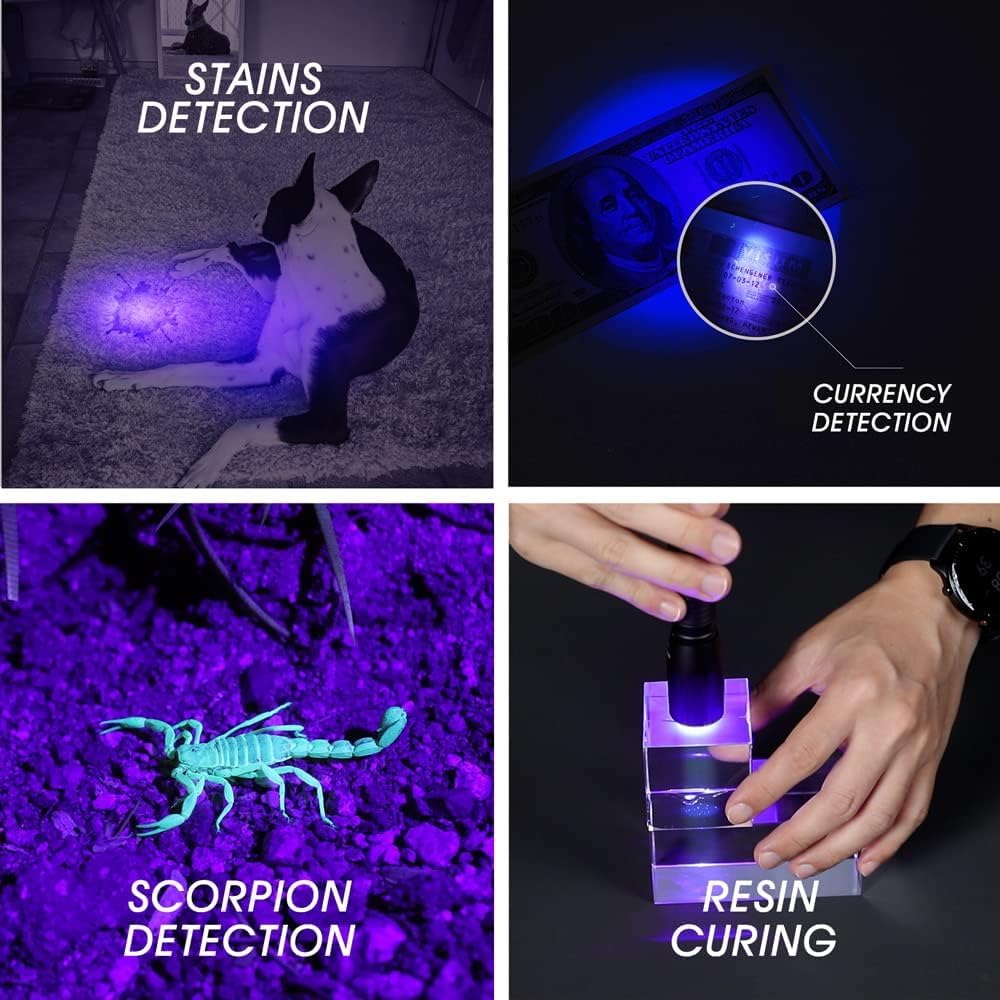 NEXTORCH pocket size UV blacklight torch illuminating pet urine stains on a living room carpet.