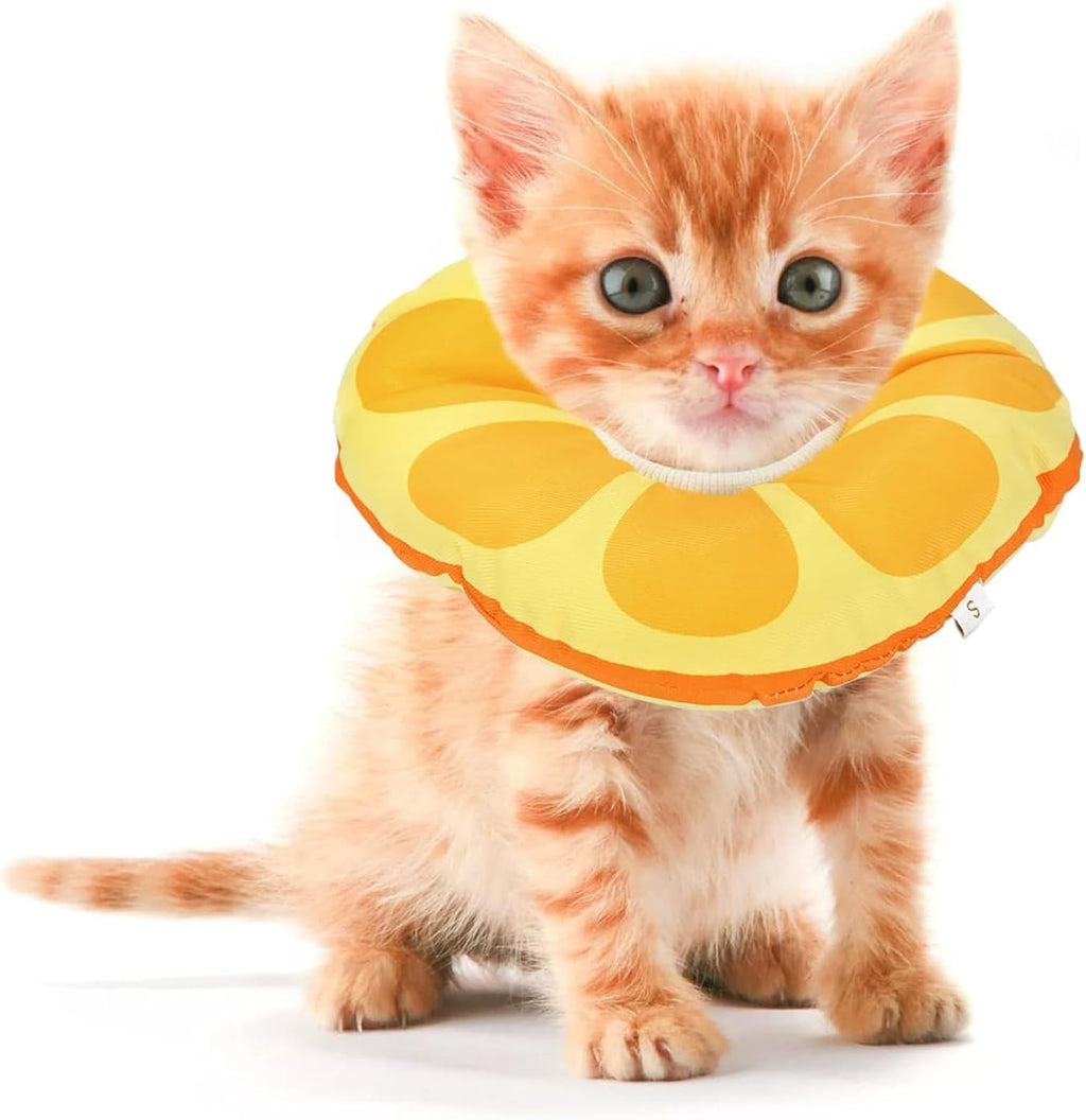 Jevnd kitten cone after surgery soft orange citrus design front view