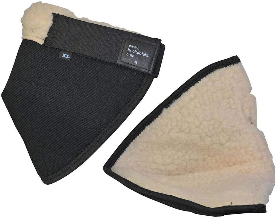 Intrepid International premium equestrian protective gear packaging detailing the large size specifications.