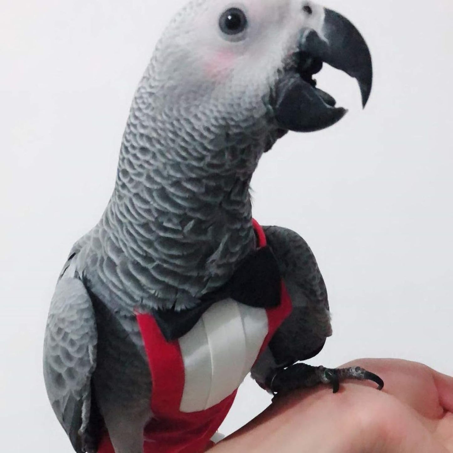 Side view of the lightweight cotton bird diaper showing the comfortable wing placement area.