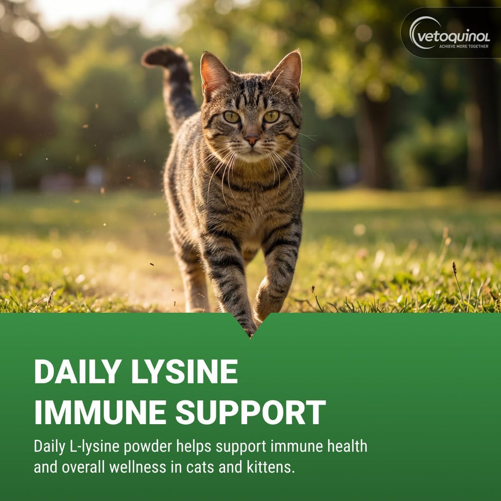 Vetoquinol Viralys cat supplement jar showing nutritional information label
