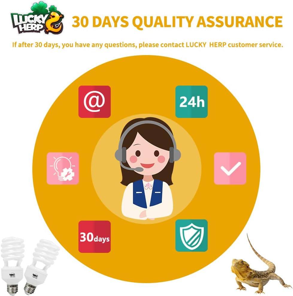 Lucky Herp twenty six watt fluorescent desert lizard bulb