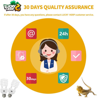 Lucky Herp twenty six watt fluorescent desert lizard bulb