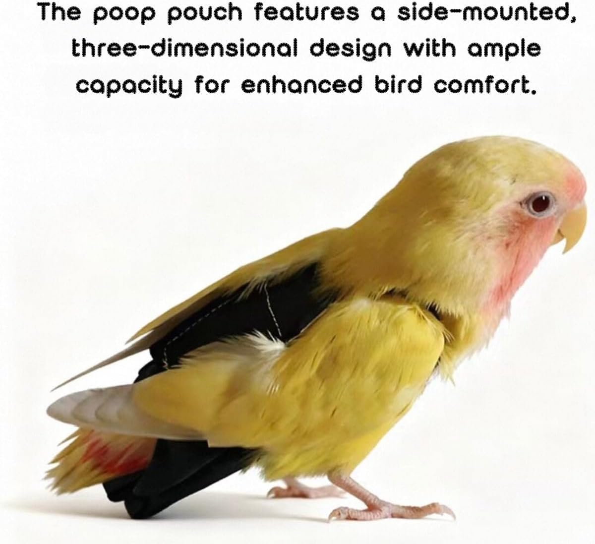 Side angle of extra extra large bird flight suit with attached leash