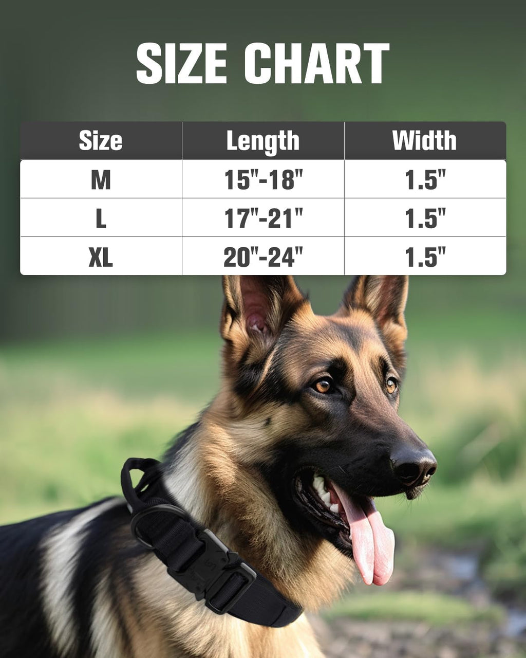 Joytale reinforced 1000D nylon dog collar close up