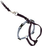 PetSafe Come with Me Kitty Harness and Bungee Leash Adjustable, Lightweight Harness for Cats Medium, Lilac - Image 12