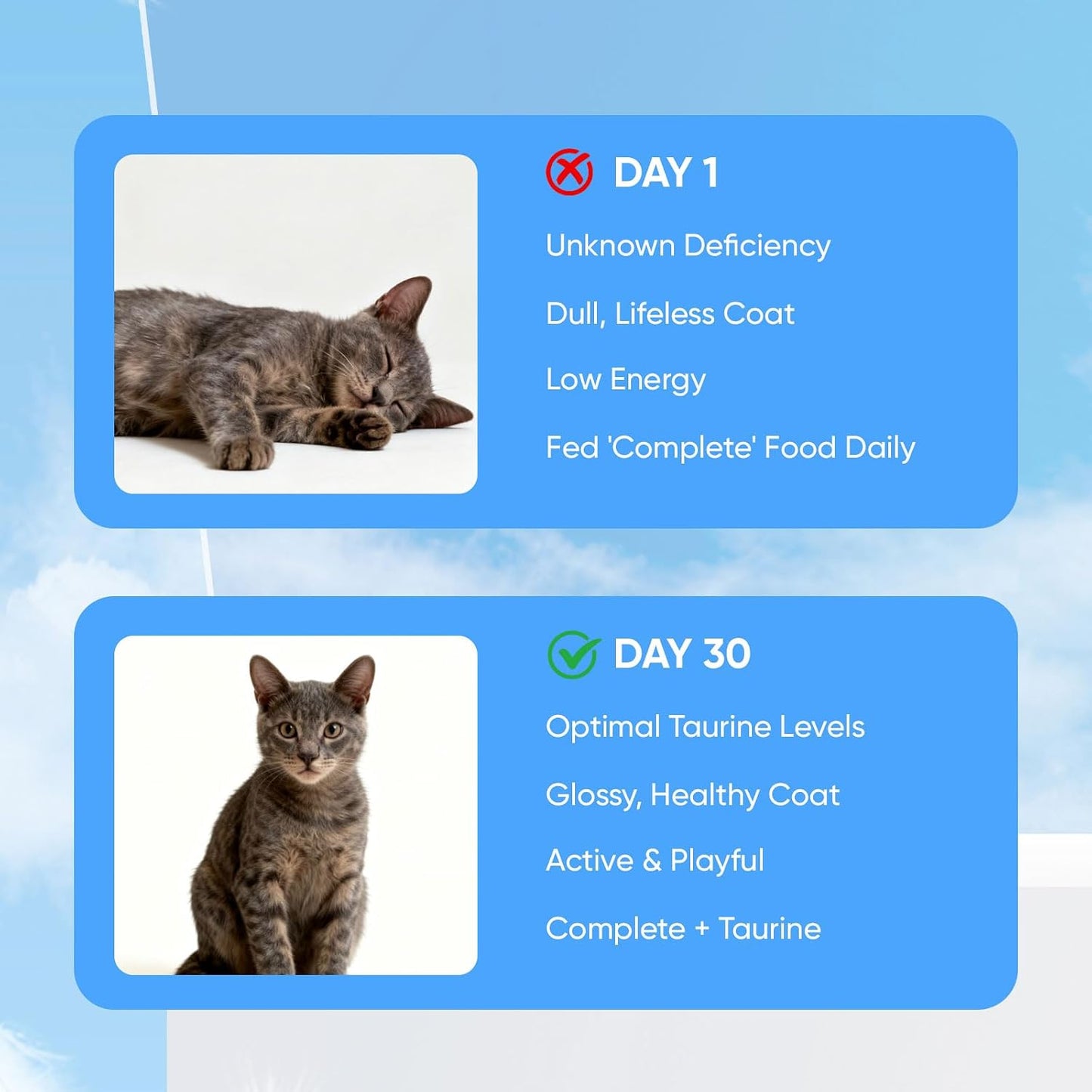 USA imported pure taurine powder for cat vitality support