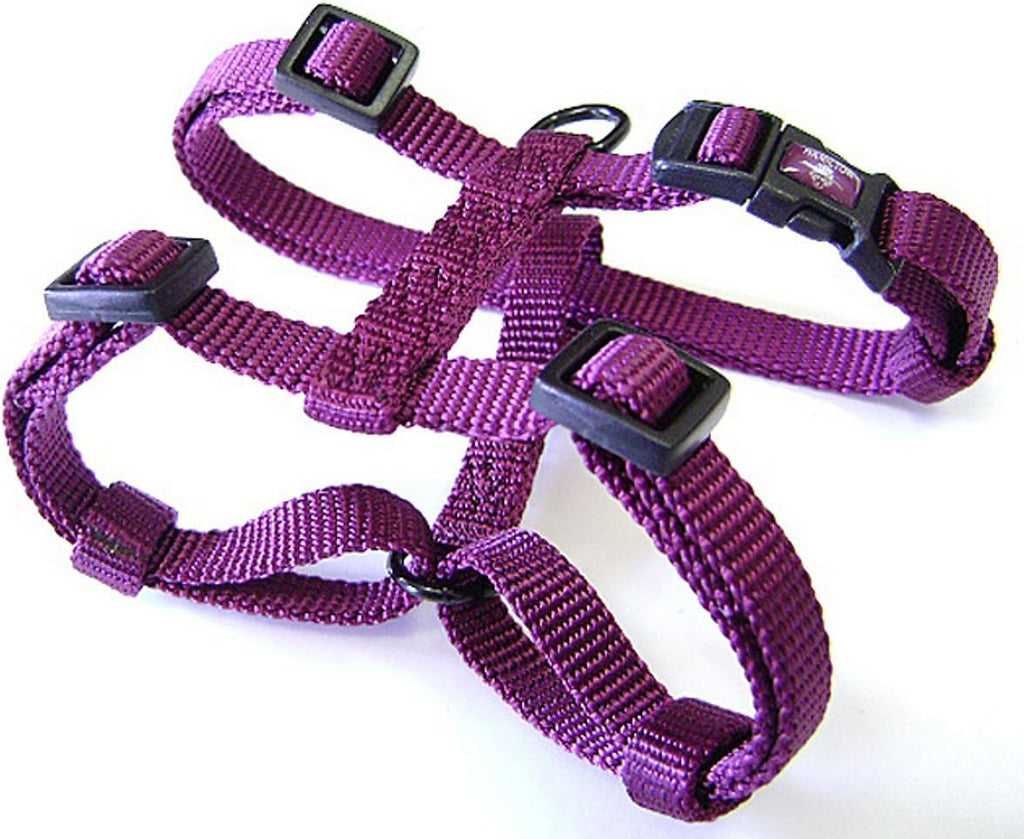 Hamilton nylon dog harness packaged for shipping