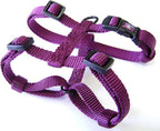 Hamilton nylon dog harness packaged for shipping
