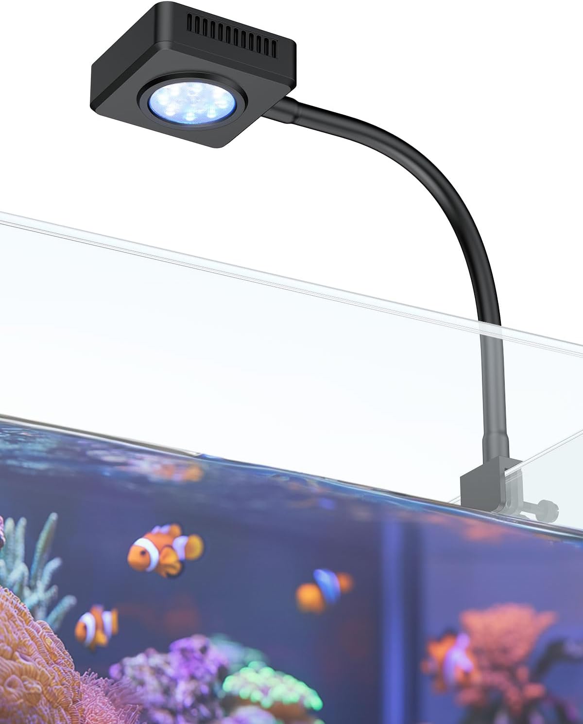Pawfly 6 W LED Aquarium Light for 1 to 5 Gallon Fish Tanks Clip On Fish Tank Light USB Moving Aquarium Lamp with Full Spectrum Dimmable White Blue Red Green Lights with Timer (Adapter Not Included) - Image 10