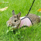 Niteangel secure snap buckle and closure detail on rabbit harness