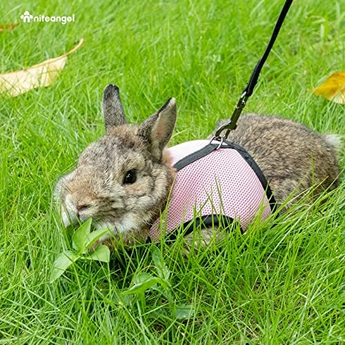 Niteangel secure snap buckle and closure detail on rabbit harness