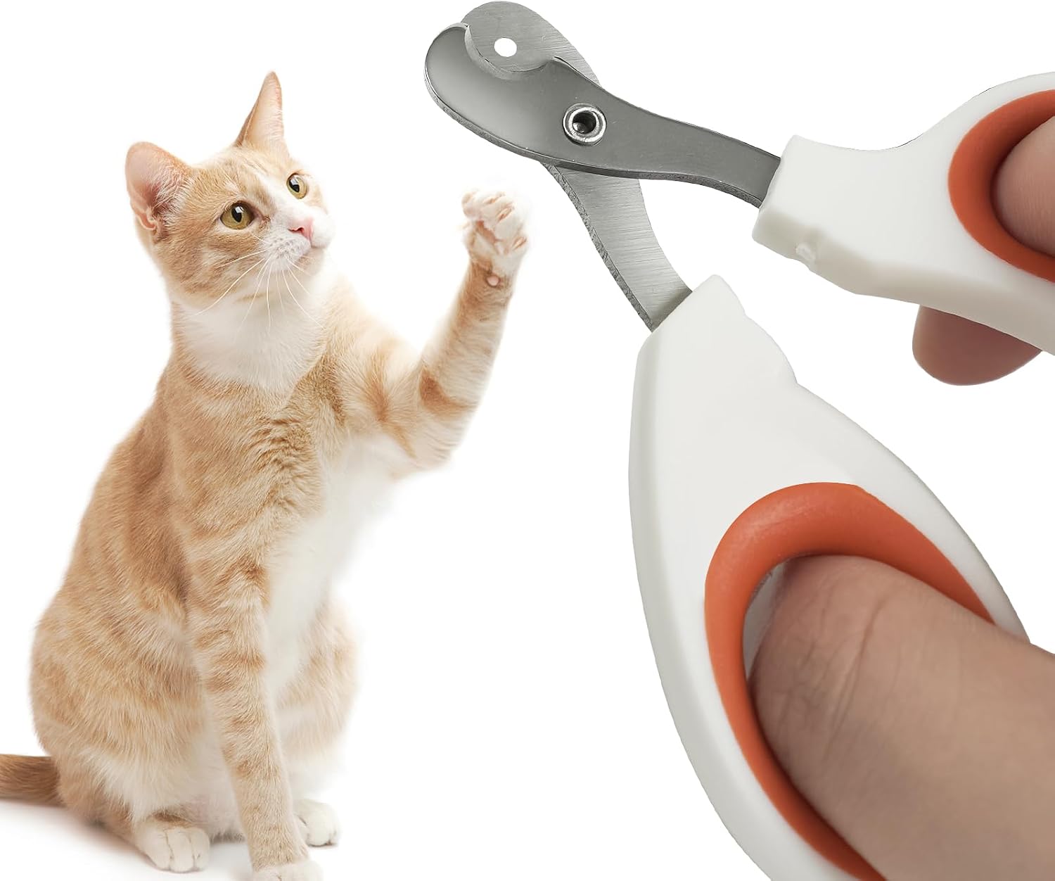 Vesslam safe pet claw trimmer with sharp angled stainless steel blade for kitten grooming.