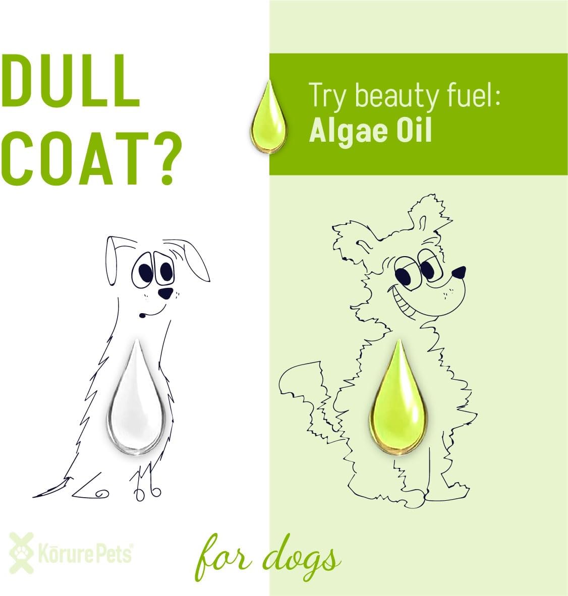 Premium marine algae oil omega 3 pet supplement for anti shedding and dry skin treatment.