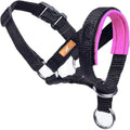 Wintchuk dog head collar pink medium front view showing padded fabric nose loop.