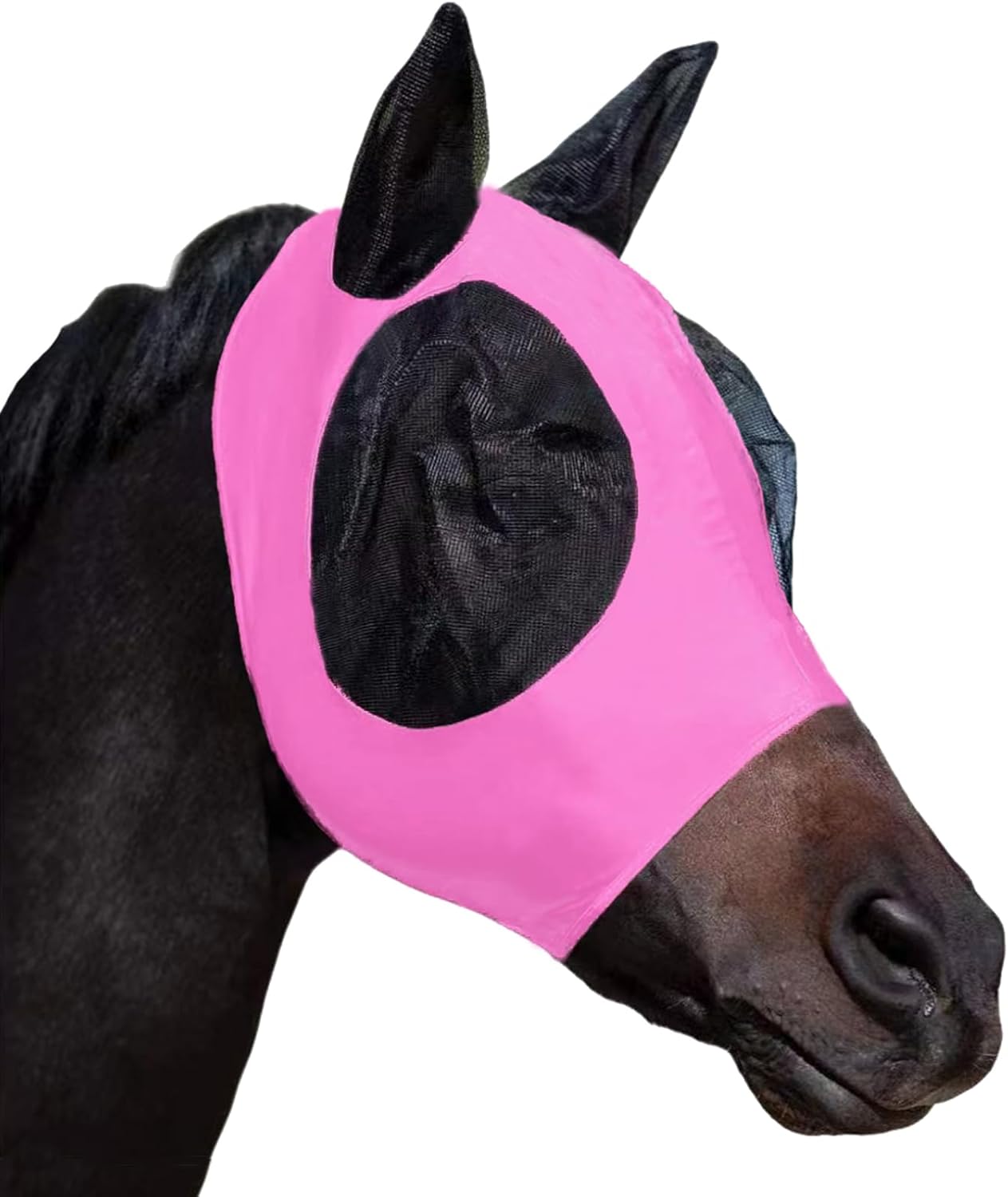 Medium horse wearing comfortable fit fly mask